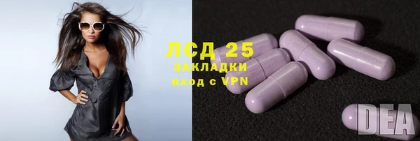 дживик Абинск